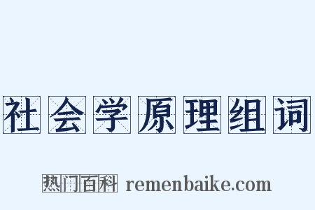 社会学原理组词是什么意思的图片